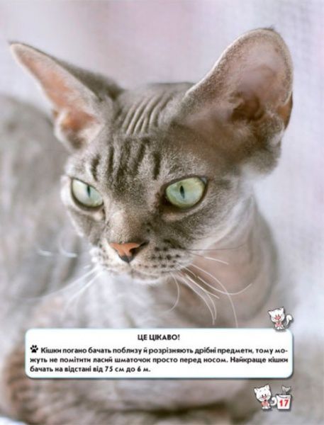 Книга Тамара Протасовицкая «Світ навколо нас. Кішки» 978-966-936-750-1