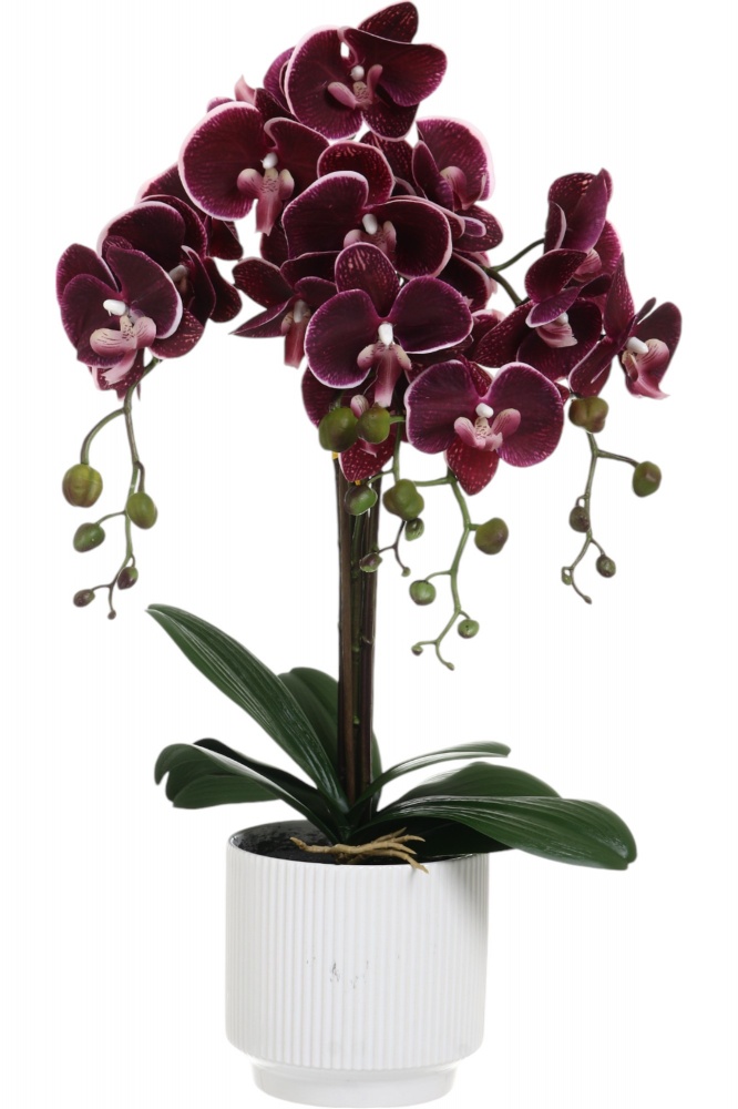 Квітка штучна Орхідея Real Touchперперна в горщику 74 см