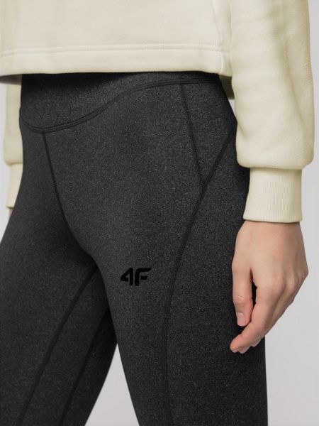 Лосины 4F NOSD4-SPDF311-21M р.L черный