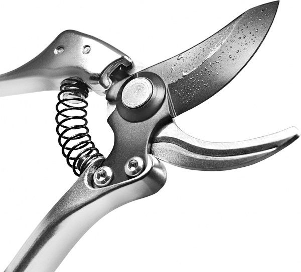 Секатор Gruntek Silber-Schnitt 