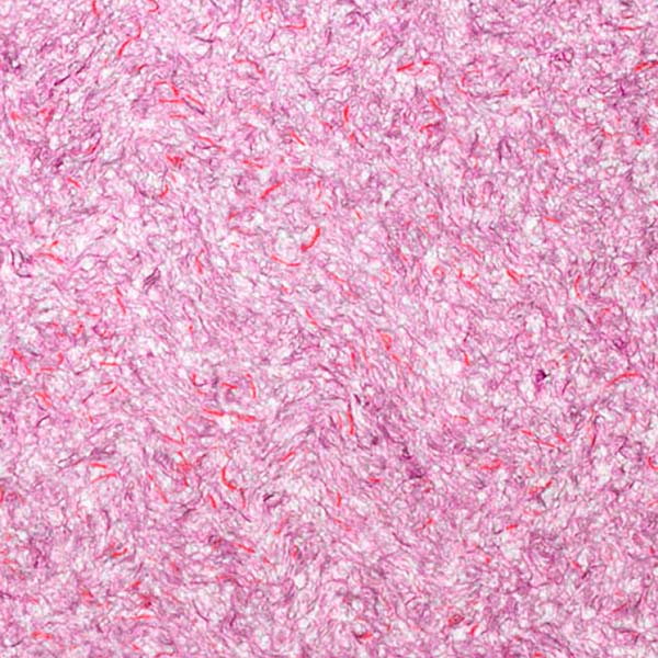 Рідкі шпалери Bioplast 611 1 кг 