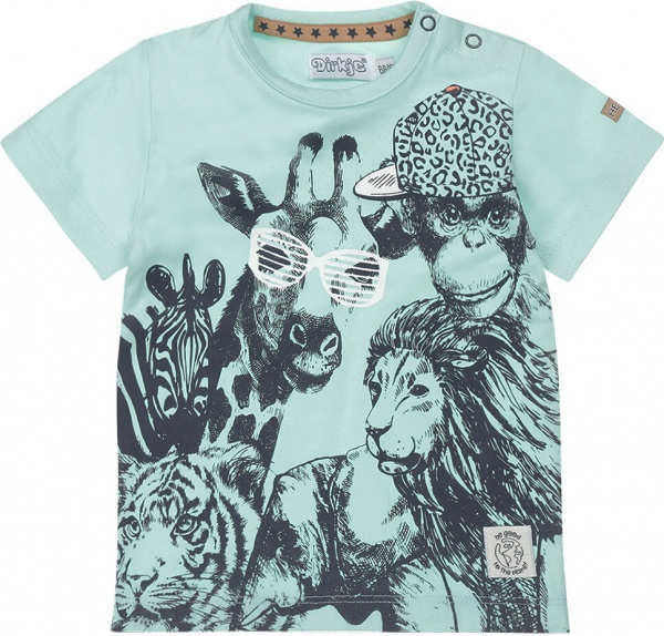 Футболка для мальчиков Dirkje р.92 мятный T46726-35 