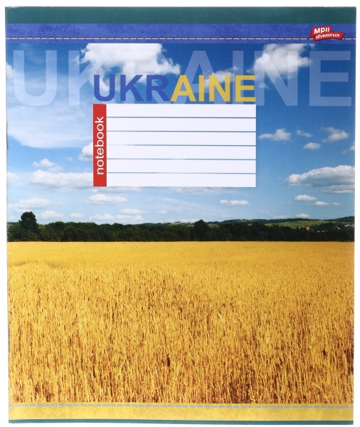 Тетрадь школьная 24 листа в линейку в ассортименте Мечты сбываются