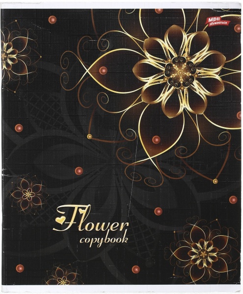 Зошит шкільний 60 аркушів у клітинку в асортименті Мрії збуваються