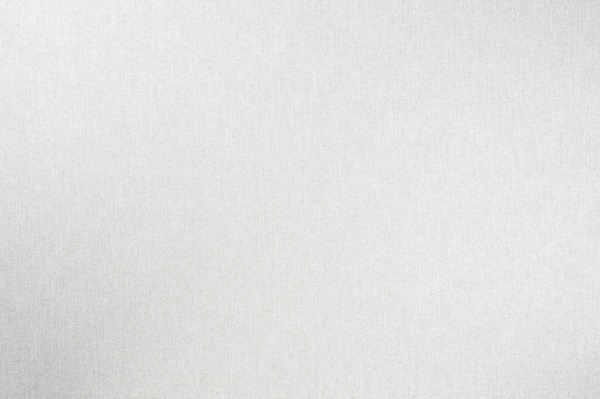 Шпалери вінілові на флізеліновій основі Vinil Остін стіна СШТ 2-1557 1,06x10,05 м 