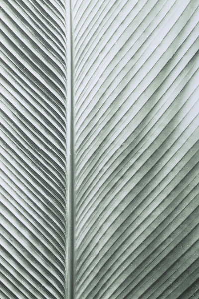 Картина Island 50x70 см Styler OB-14048 