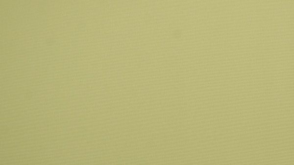 Ролета термо (blackout) Gardinia 72,5x150 см яблочный 