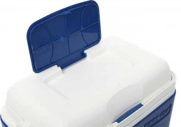 Контейнер ізотермічний Pinnacle Eskimo Primero 32L Blue (8906053369700BLUE)