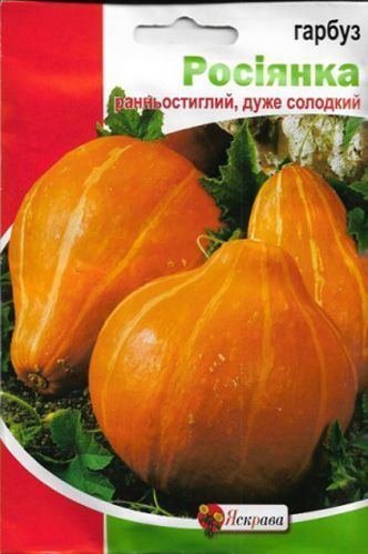 Семена Яскрава тыква Росиянка 10г