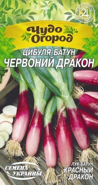 Семена Семена Украины лук-батун Красный дракон 663450 0,25г
