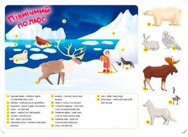 Книга «Наліпки Funny English. Північний полюс(+186 наліпок)»