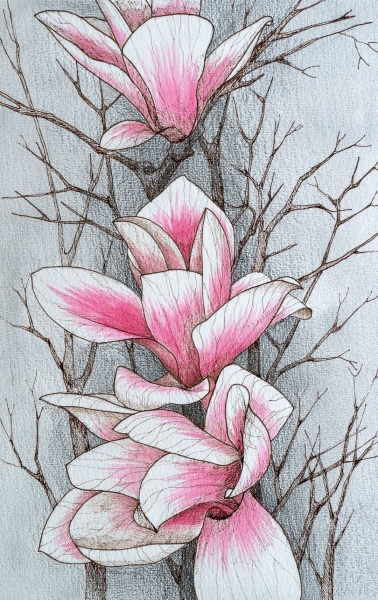 Репродукция Орхидеи 50x80 см Арт Фемелі 