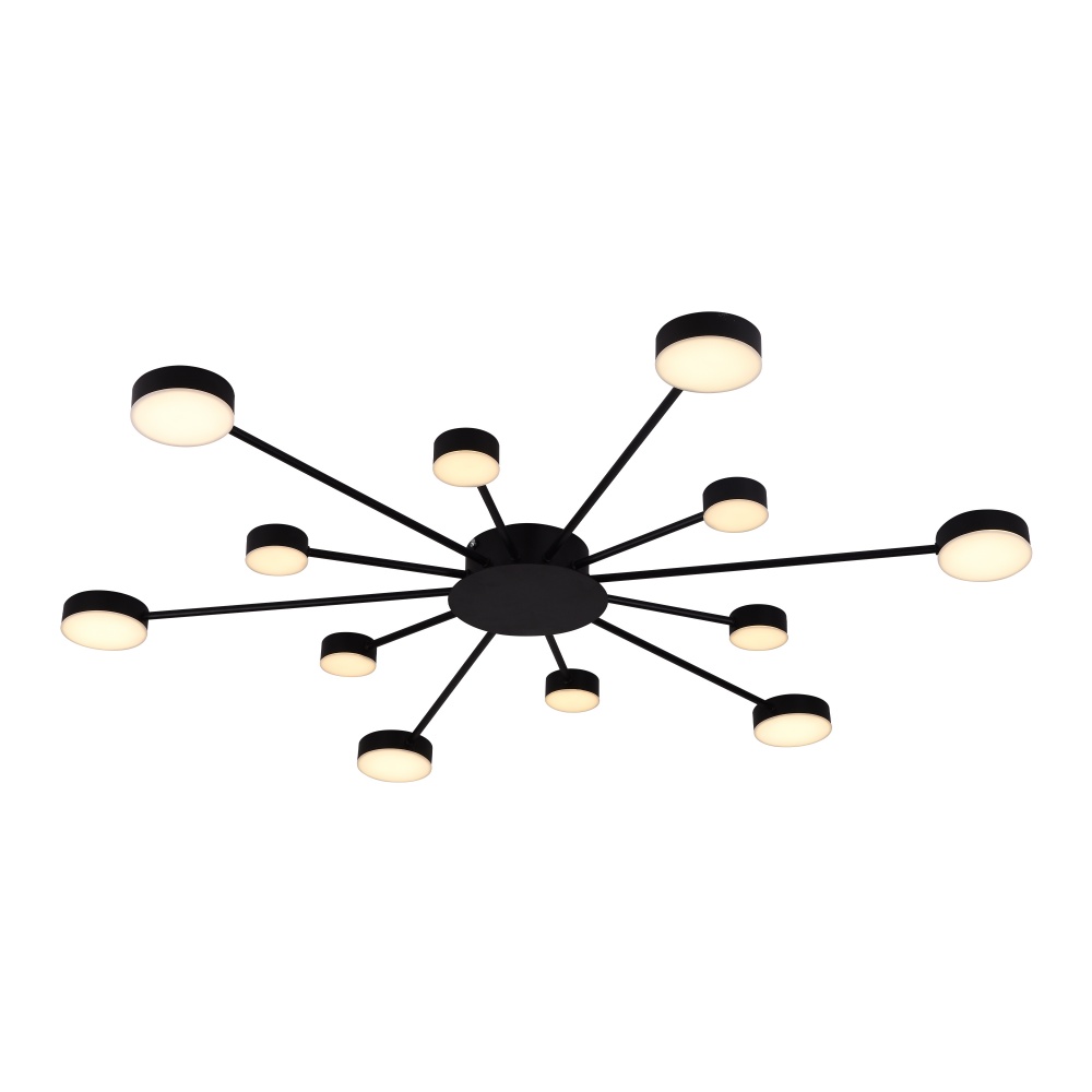 Люстра Miorro LED Foresta 12x6,3 Вт LED-модуль чорний 51-313-004