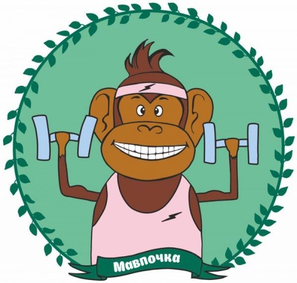 Картина по номерам раскраска за номерами Мартышка Rosa Kids 