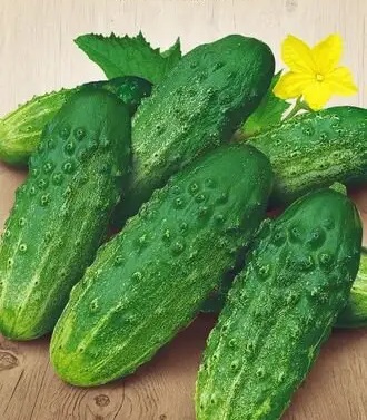 Семена Семена Украины огурец Конкурент 600900 1г