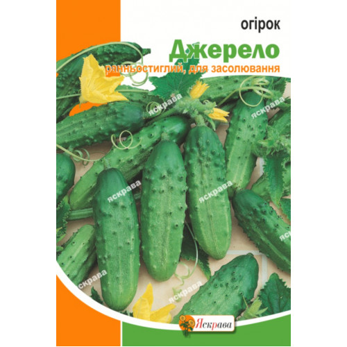 Семена Яскрава огурец Источник
