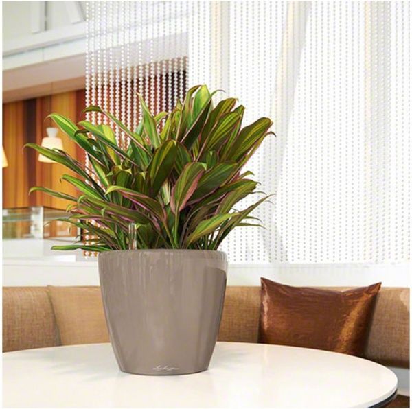 Вазон пластиковый Lechuza Classico Premium LS 28 квадратный 19,9л коричневый (16045) 