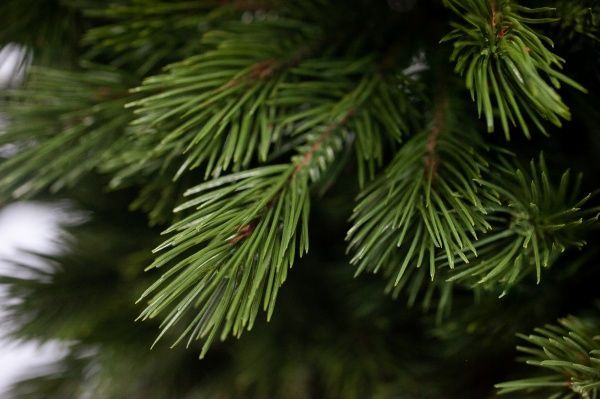 Елка искусственная Лана-210 литая хвоя зеленый 