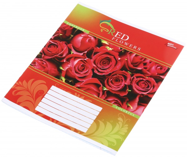 Зошит шкільний 24 аркуша у клітинку в асортименті Мрії збуваються