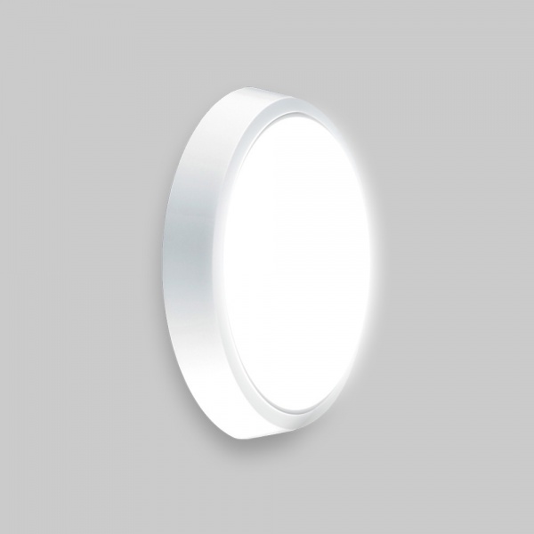 Светильник настенно-потолочный Luminaria 12 Вт белый 5500 К DLR 12W 