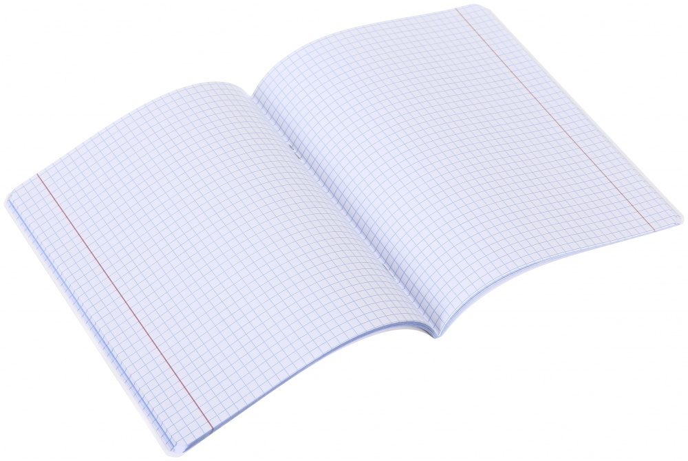 Тетрадь школьная Физика 48 листов в клеточку Nota Bene