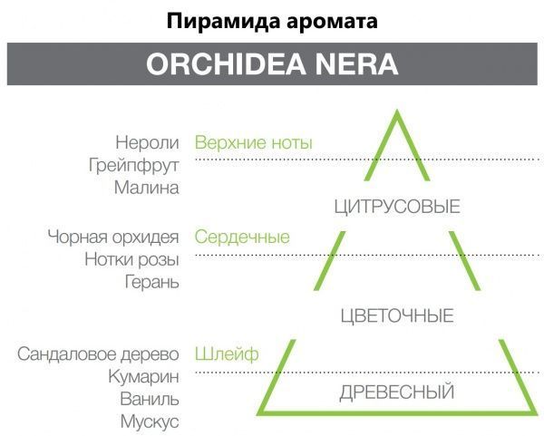 Аромадифузор для дому Hypno Casa Orchidea Nera 100 мл 