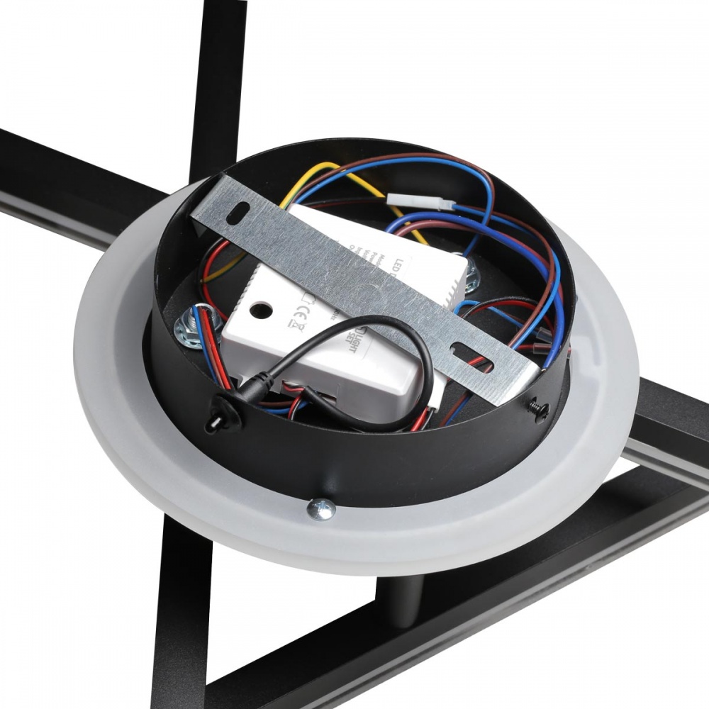 Люстра светодиодная LIGHT SET LILEYA LS 80 RC 2800-6000K 55 Вт черный