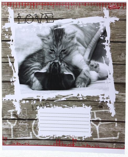 Зошит шкільний 12 аркушів у лінійку дизайн в асортименті Мрії збуваються