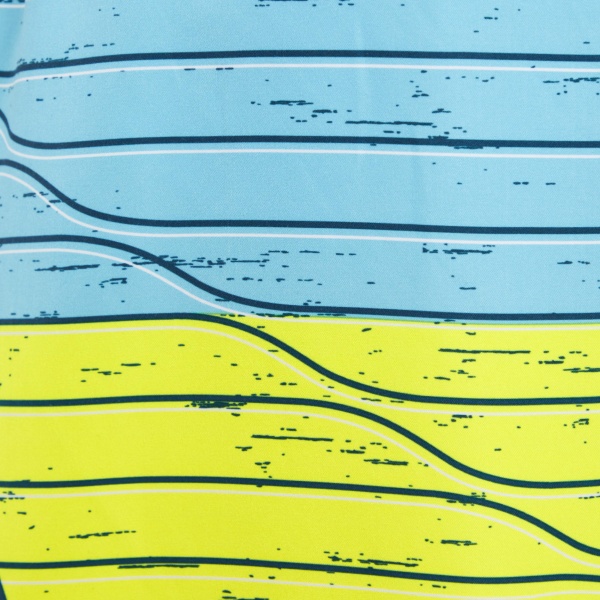 Шорты Firefly Kevin ux 302265-703 р. XL зеленый с синим