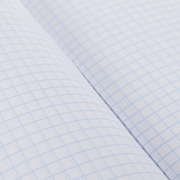 Зошит шкільний 24 листа у клітинку 2021_1 Nota Bene