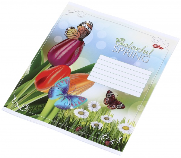 Тетрадь школьная с глитером 18 листов в клеточку в ассортименте Мечты сбываются