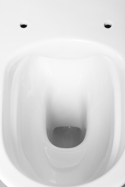 Чаша унитаза ROCA ONA Rimless без бачка и сиденья