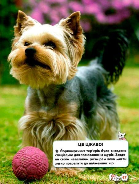 Книга Тамара Протасовицкая «Світ навколо нас. Собаки» 978-966-936-748-8