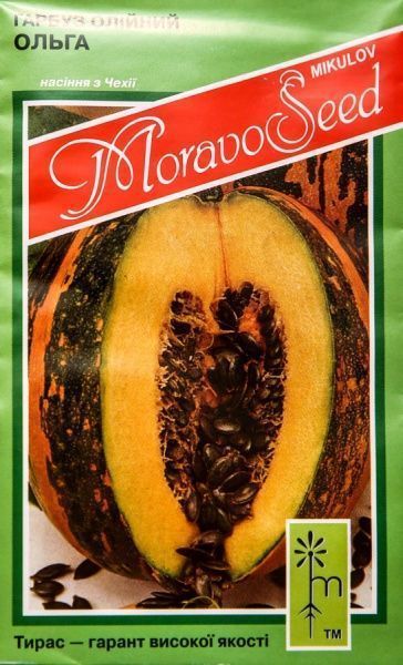 Насіння MoravoSeeds гарбуз Ольга 5г
