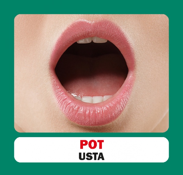 Книга «Частини тіла. Набір карток» 9786177686117