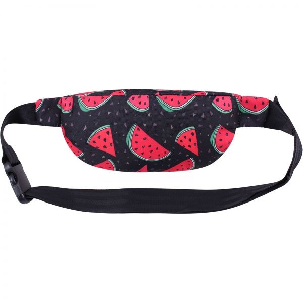 Сумка на пояс Alicia сублімація 768 (212664) Bagland