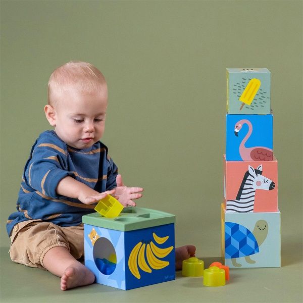 Сортер Taf Toys Кубики Африка 12725