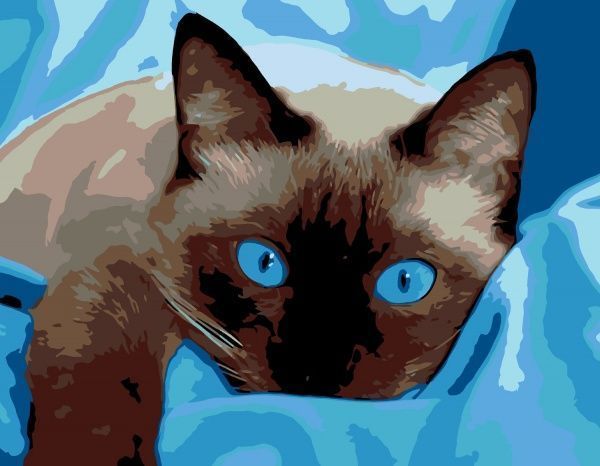 Картина по номерам Blue Еyes 35x45 см Rosa Start 