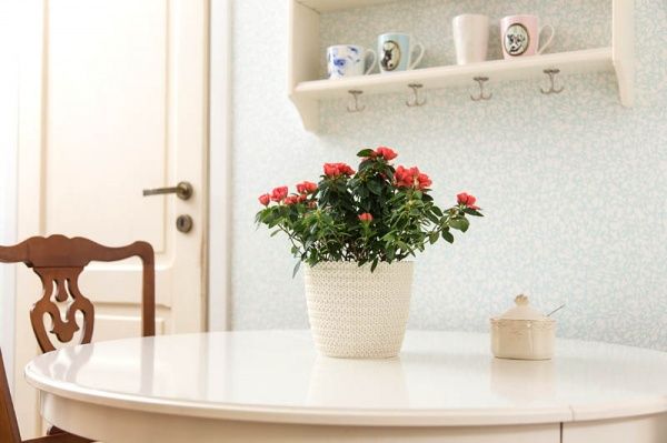 Горшок Lamela Магнолия Джерси 160 круглый кремовый 