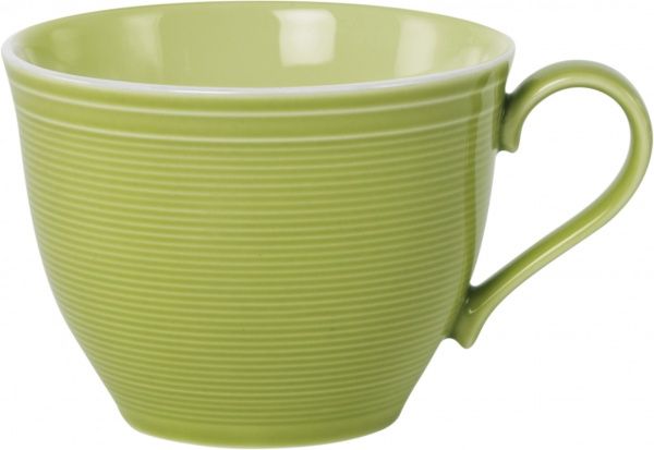 Чашка с блюдцем Rhythm Leaf 220 мл