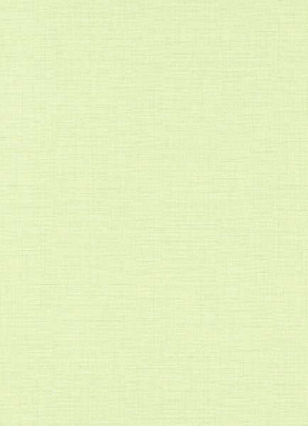 Шпалери вінілові на флізеліновій основі Erismann Paradisio 2 10140-35 0,53x10,05 м 