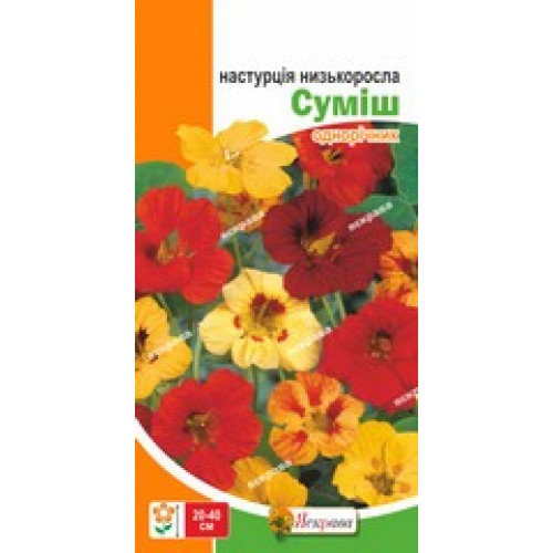 Семена Яскрава настурция низкорослая Настурция смесь