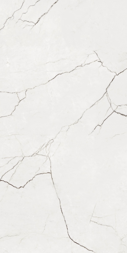 Плитка Allore Group Eleganza White F P R Full Lappato 60х120 см