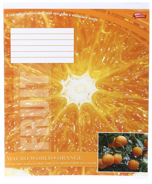 Тетрадь школьная 18 листов в клеточку в ассортименте Мечты сбываются