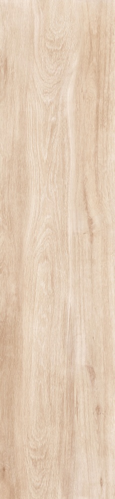 Плитка Allore Group Tahoe Beige F PR R Mat 30х120 см