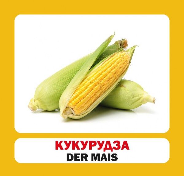 Книга «Навчальний посібник. Овочі. нім-укр»