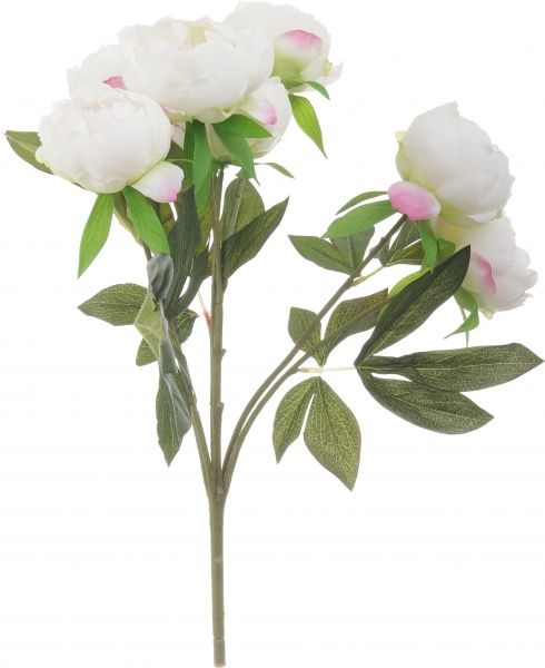 Букет півоній білий