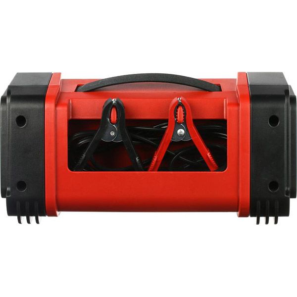 Зарядное устройство Proswisscar ZM-02 12/24В