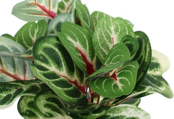 Цветочная композиция искусственная Аглаонема светло-зеленая PFC(NL)-717C