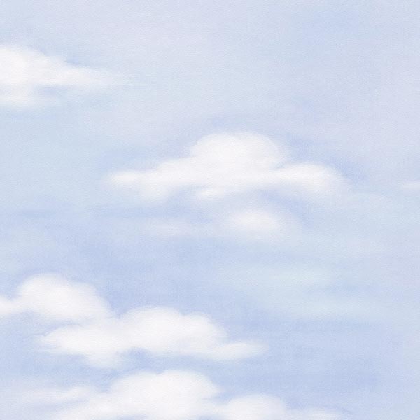 As Creation Dekora Natur 5 7981-21 0.53x10.05 м